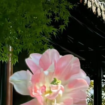 每日一善  每日一善   阳光信用 以热爱祖国为荣，以危害祖国为耻 以服务人民为