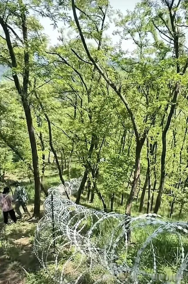西湖免费
这里却这样？
这是哪个景区，评论区说出来
你怎么看？
