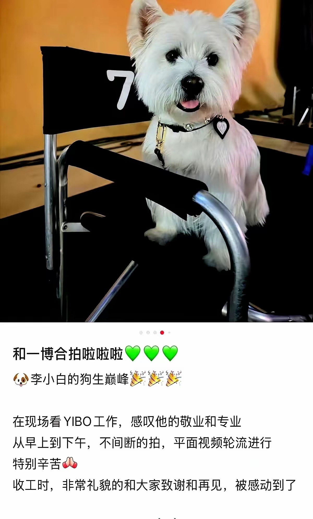 每天都那么繁忙乖宝宝 