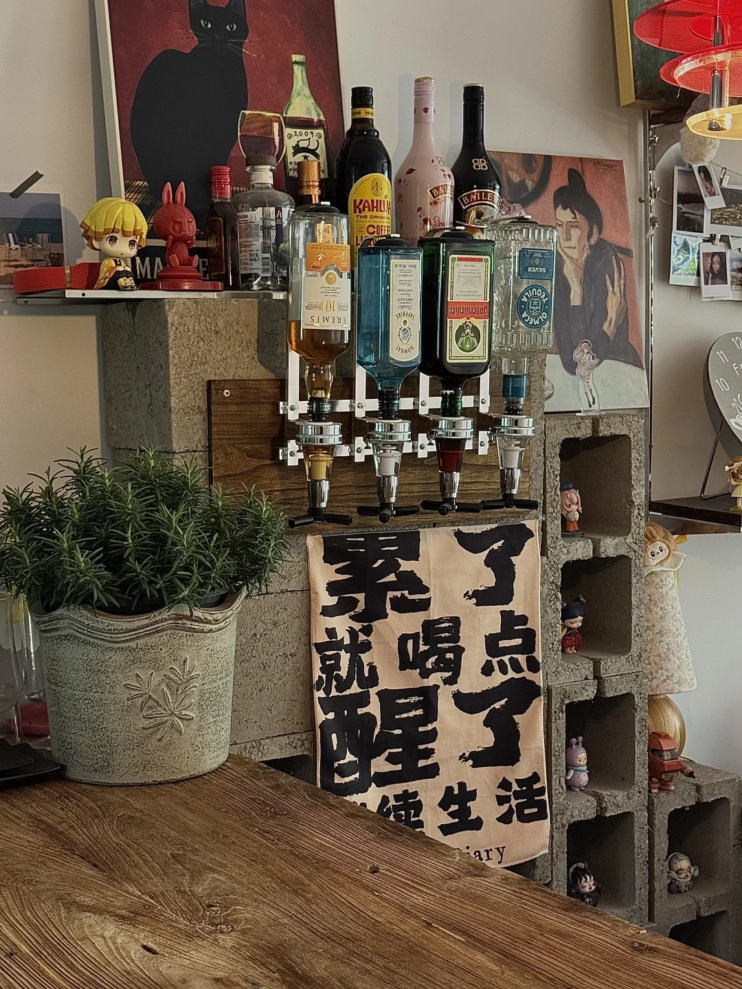 长大的女孩 过着普通的出租房生活🛋️🐈