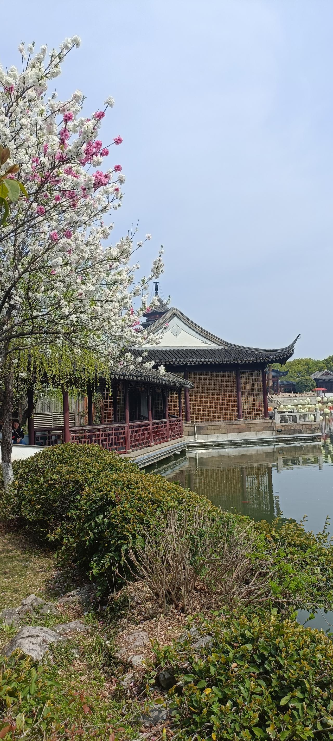 樱花盛开，古风建筑，静谧庭院，感受春日宁静之美。
上联:花影搖曳间，
下联:古韵