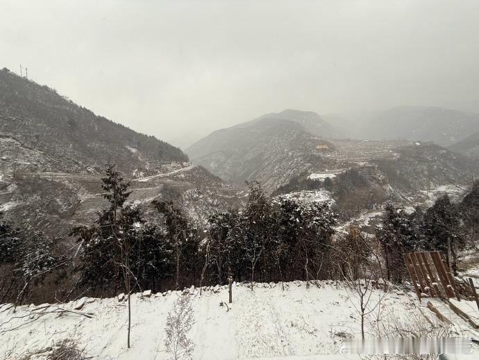 贺峻霖晒下雪照 贺峻霖晒下雪照，也太有氛围感了吧，我不允许还有人没看过贺峻霖下雪