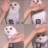 廉聚聚科技