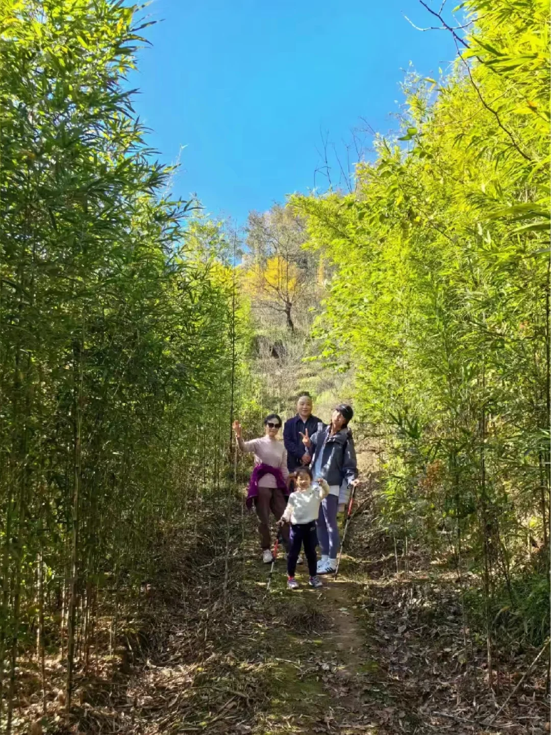 国庆出游|青城赏秋秘境，山中远乡小憩！