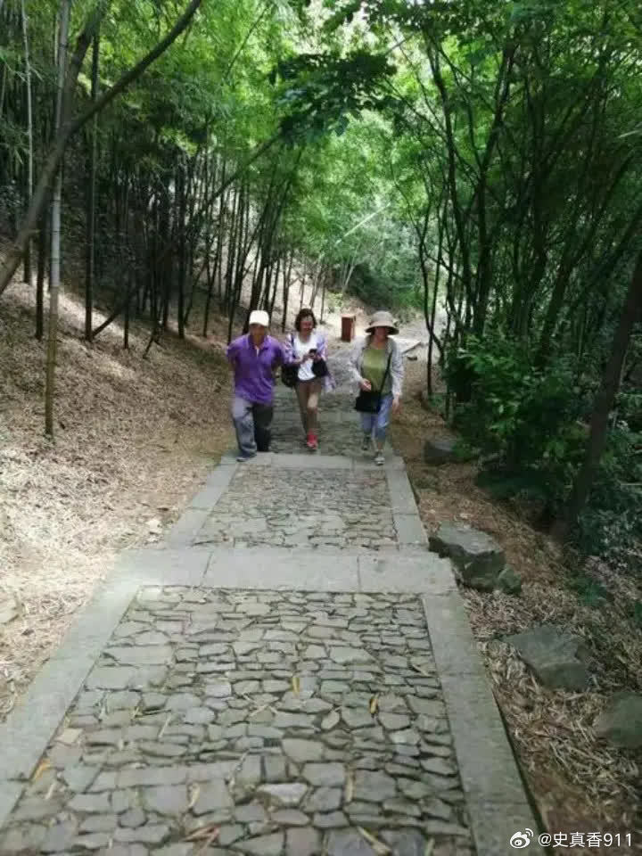 当年，张敏跟了向华9年，差点转正时，大师告诉向华胜：此女子两颊无肉，克夫。 此后