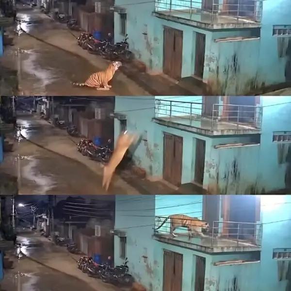 二楼已经阻止不了它了[我想静静][我想静静][我想静静]