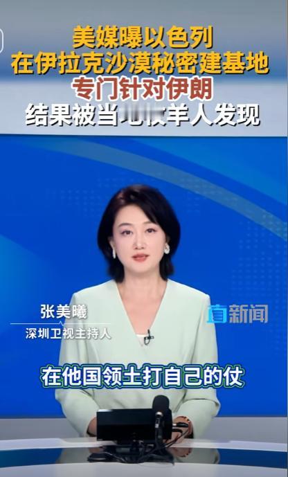 谁也没想到，一个沙漠牧羊人的偶然一瞥，竟揭开了一场蓄谋已久的军事秘密。

202