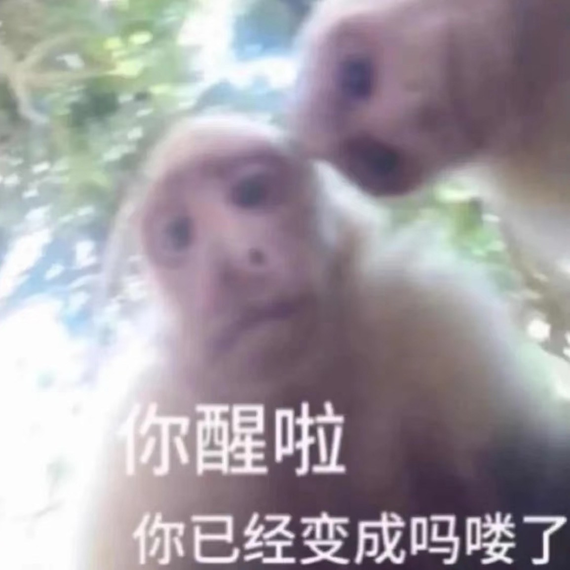 早上好 不好也可以 随便你 ​​​