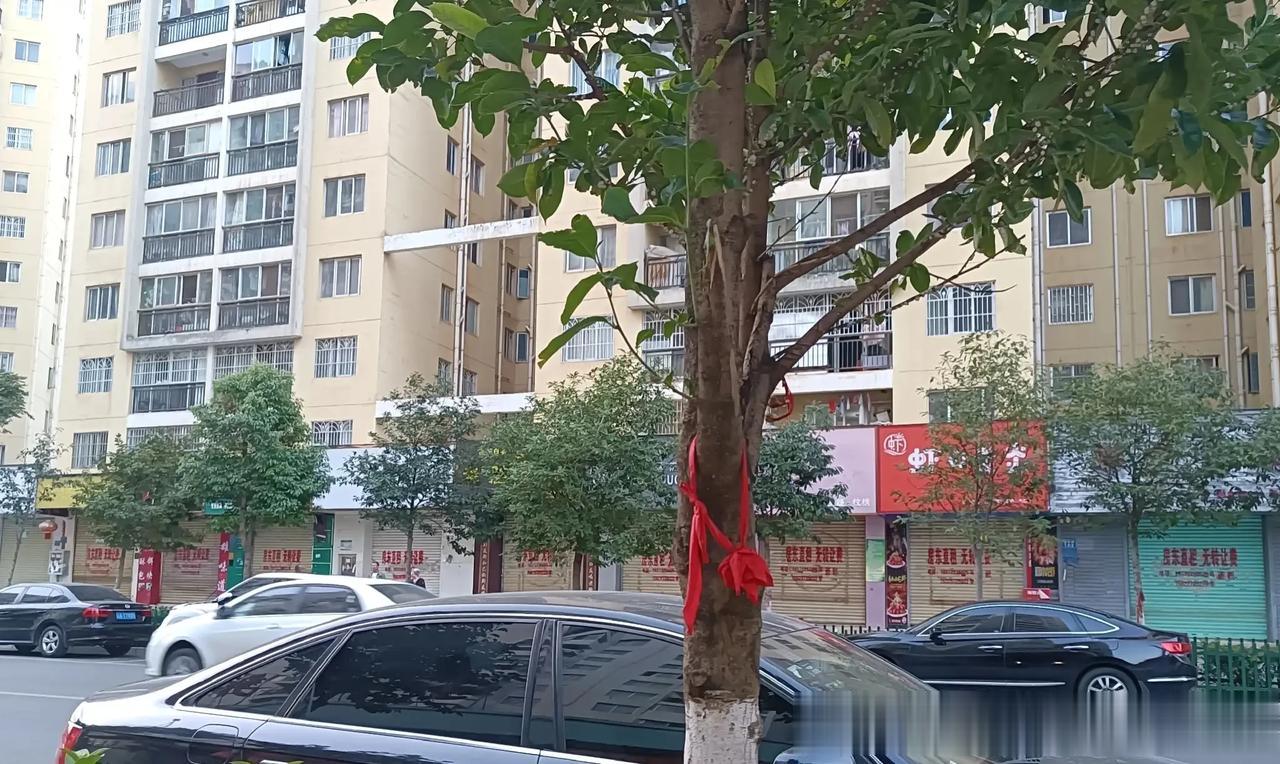 “房东涨租，店铺全关闭＂以前挺热闹的铺面现在全部关停，听说是老板要统一涨租金。
