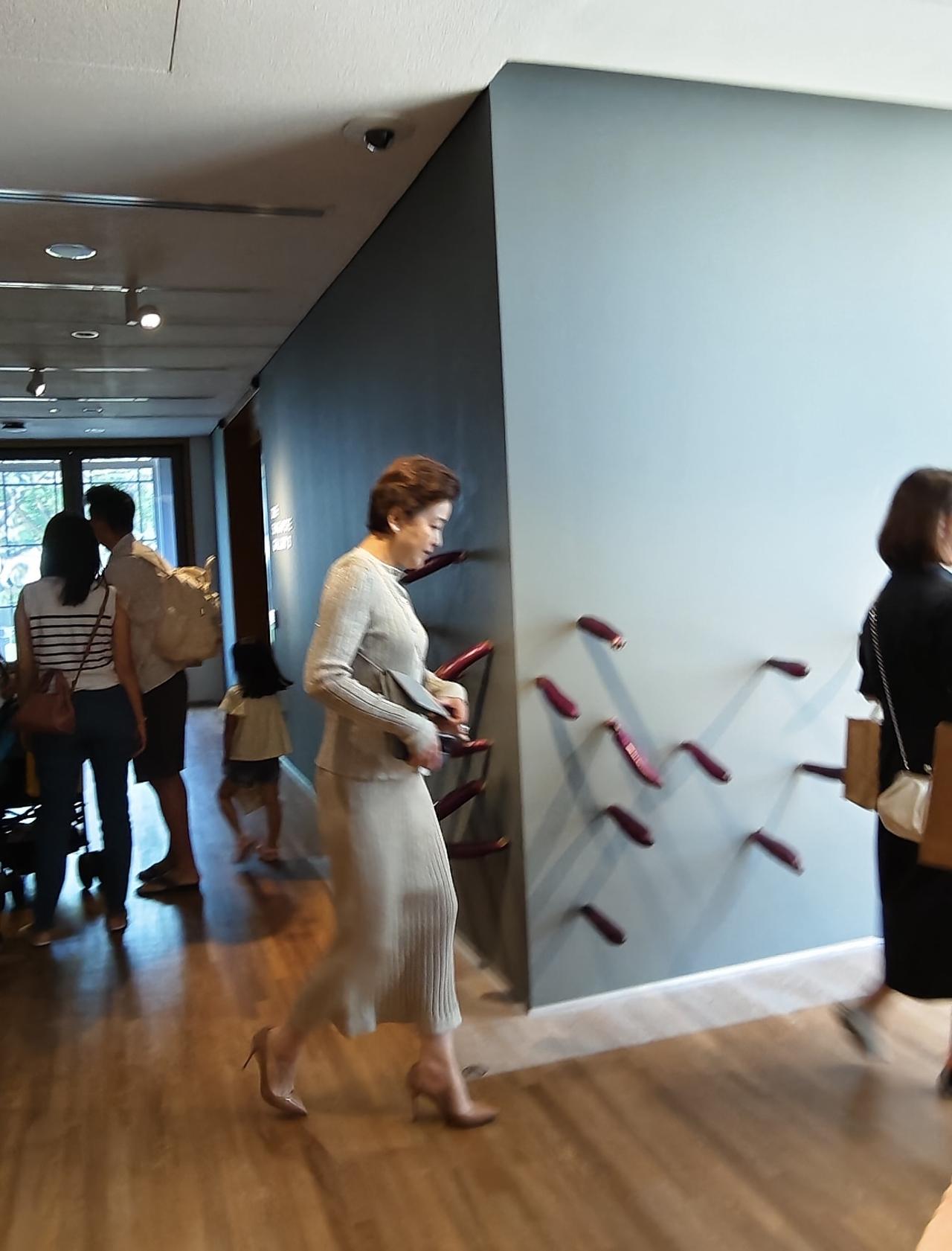 近日，有位网友在新加坡偶遇杨澜，她现身某美术馆的画面。

57岁的杨澜，依然知性