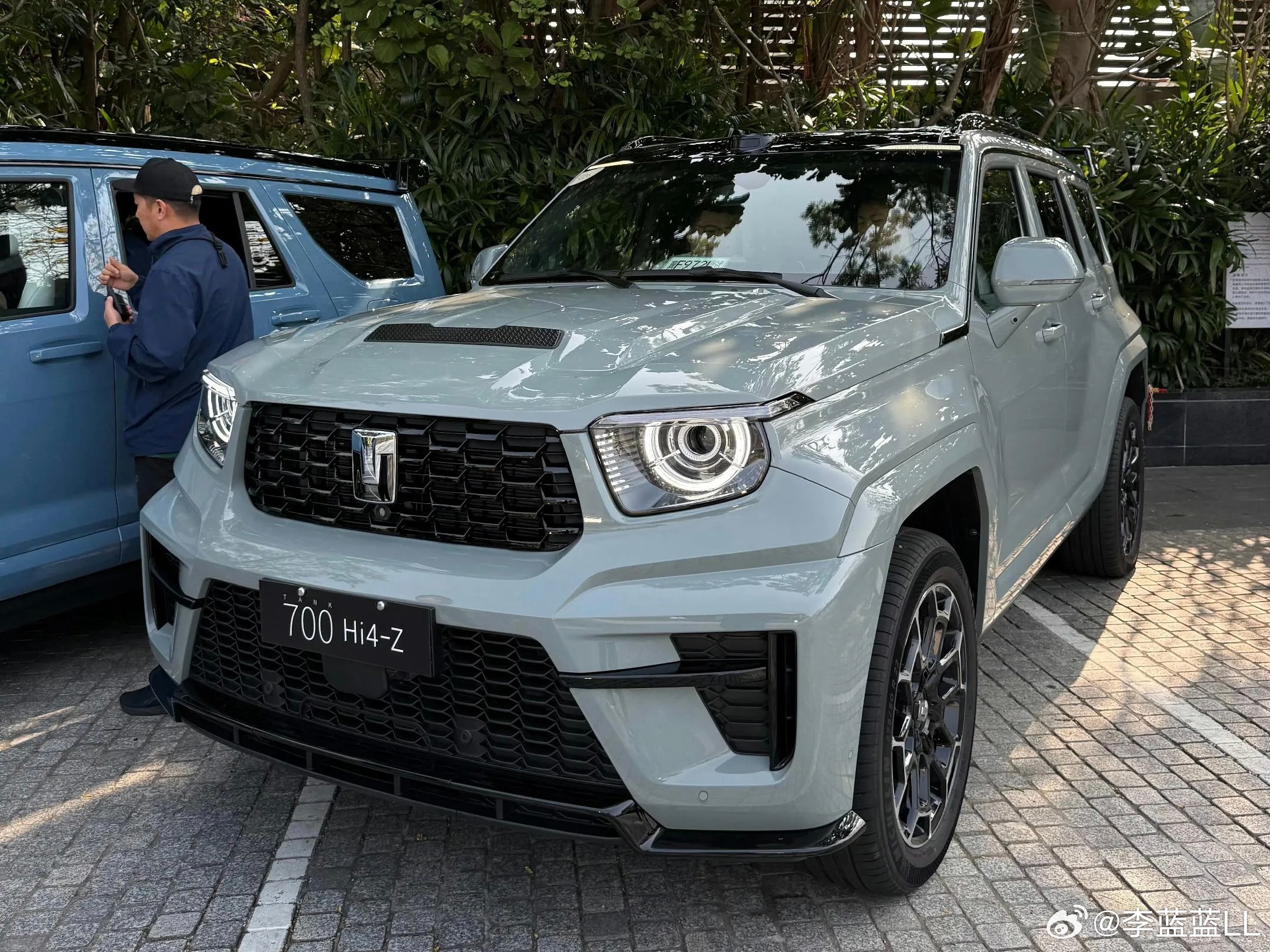 坦克700好像还有这么个颜色。