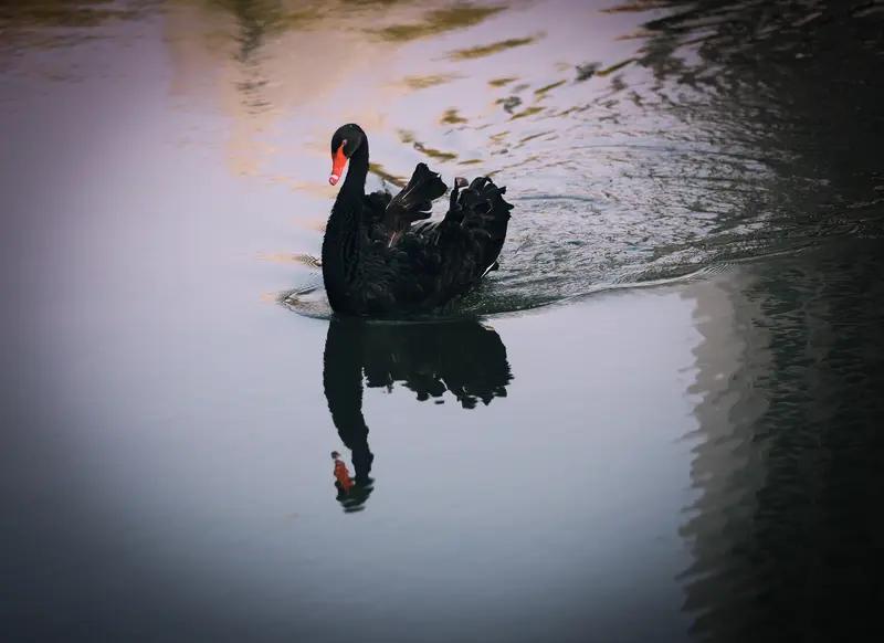 我这炒股经历简直像坐过山车。第一次买票投了2万，结果亏了1万多，赶紧止损。四只票