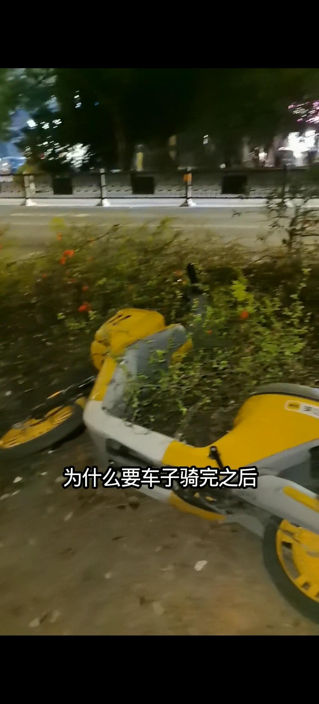 刚刚吃完饭去散步的时候，发现一辆美团单车被人扔在马路边的草丛里。不理解旁边隔了两