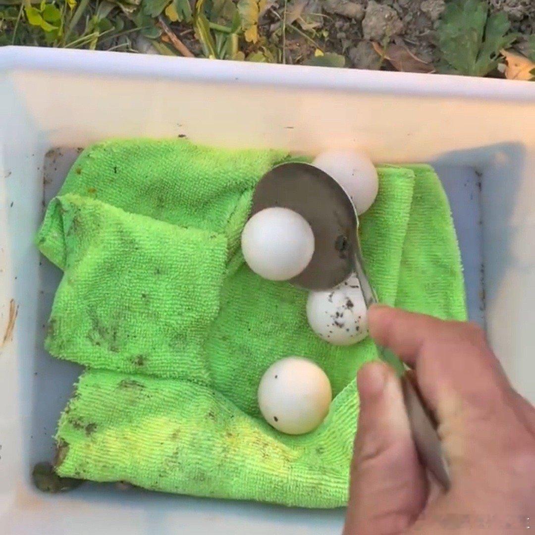 #解锁一项收蛋新技能了# 哈哈哈真的太搞笑了，不过真的好实用啊，赶紧来只能下蛋的