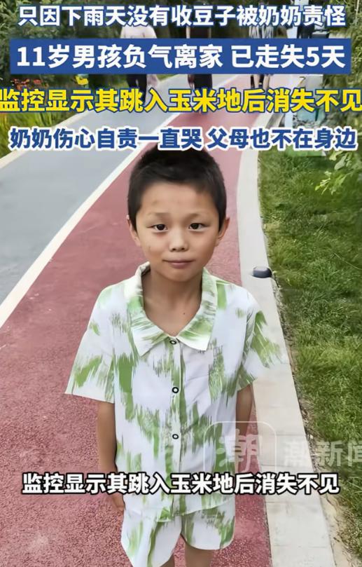 担心的事情还是发生了！云南昭通，11岁男孩因为忘了帮奶奶收豆子，被奶奶痛骂，一赌