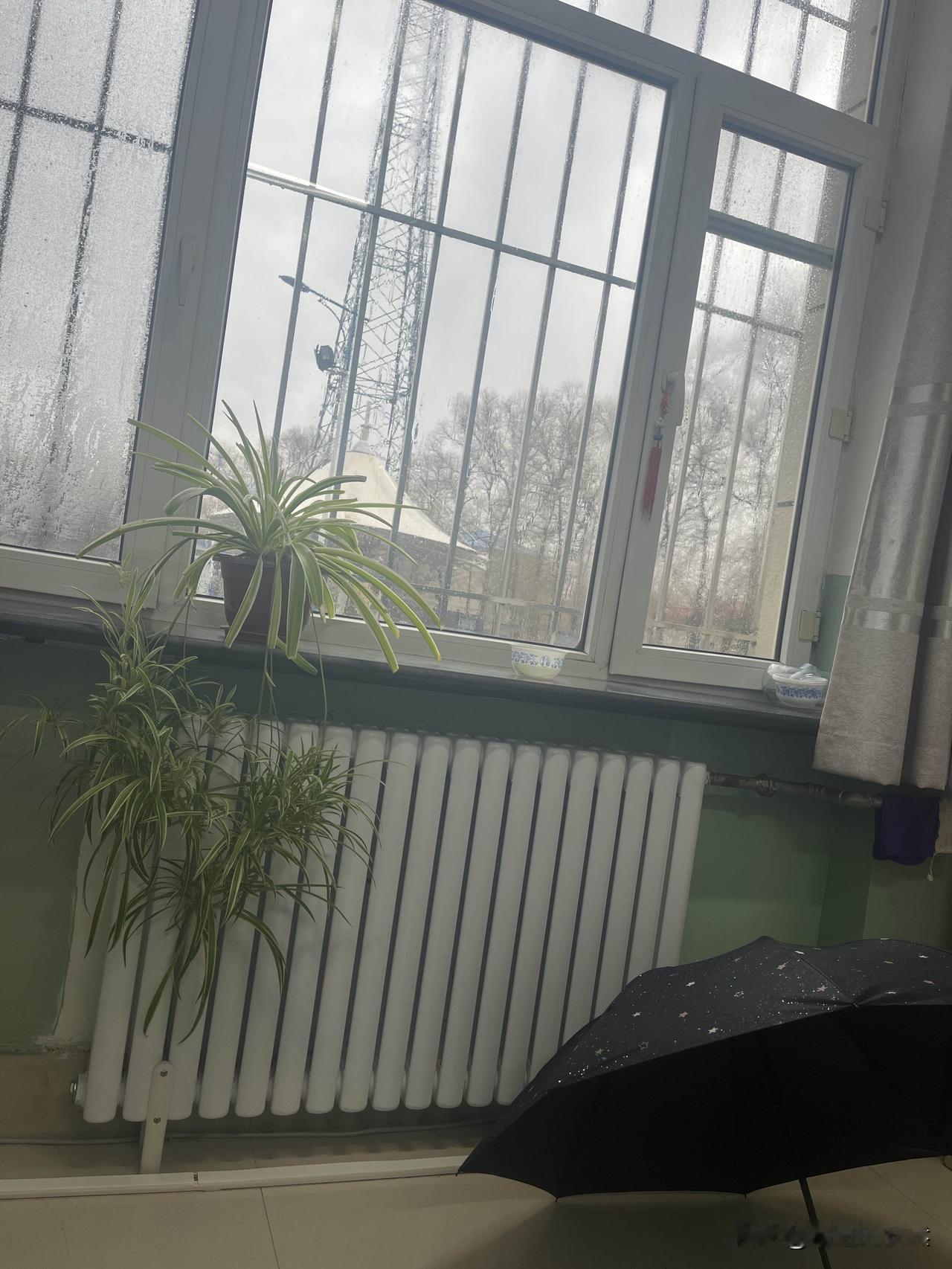 东北2026年第一场雨🌧️
正赶上孩子中午上学，我和孩子打着雨伞🌂也浇湿了。