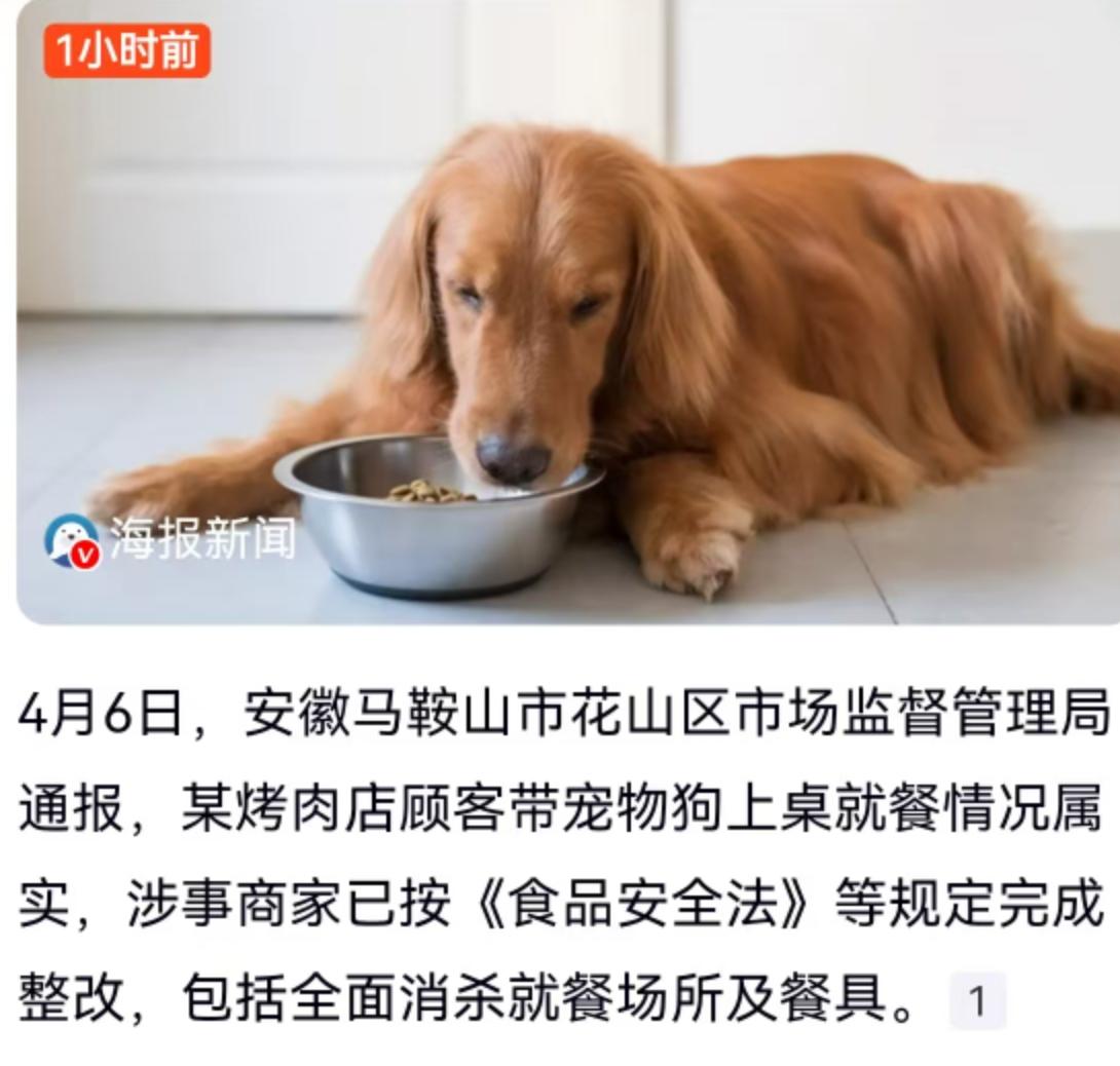 4月6日，安徽马鞍山市花山区市场监督管理局的一纸通报，把“宠物狗上桌就餐”这个话