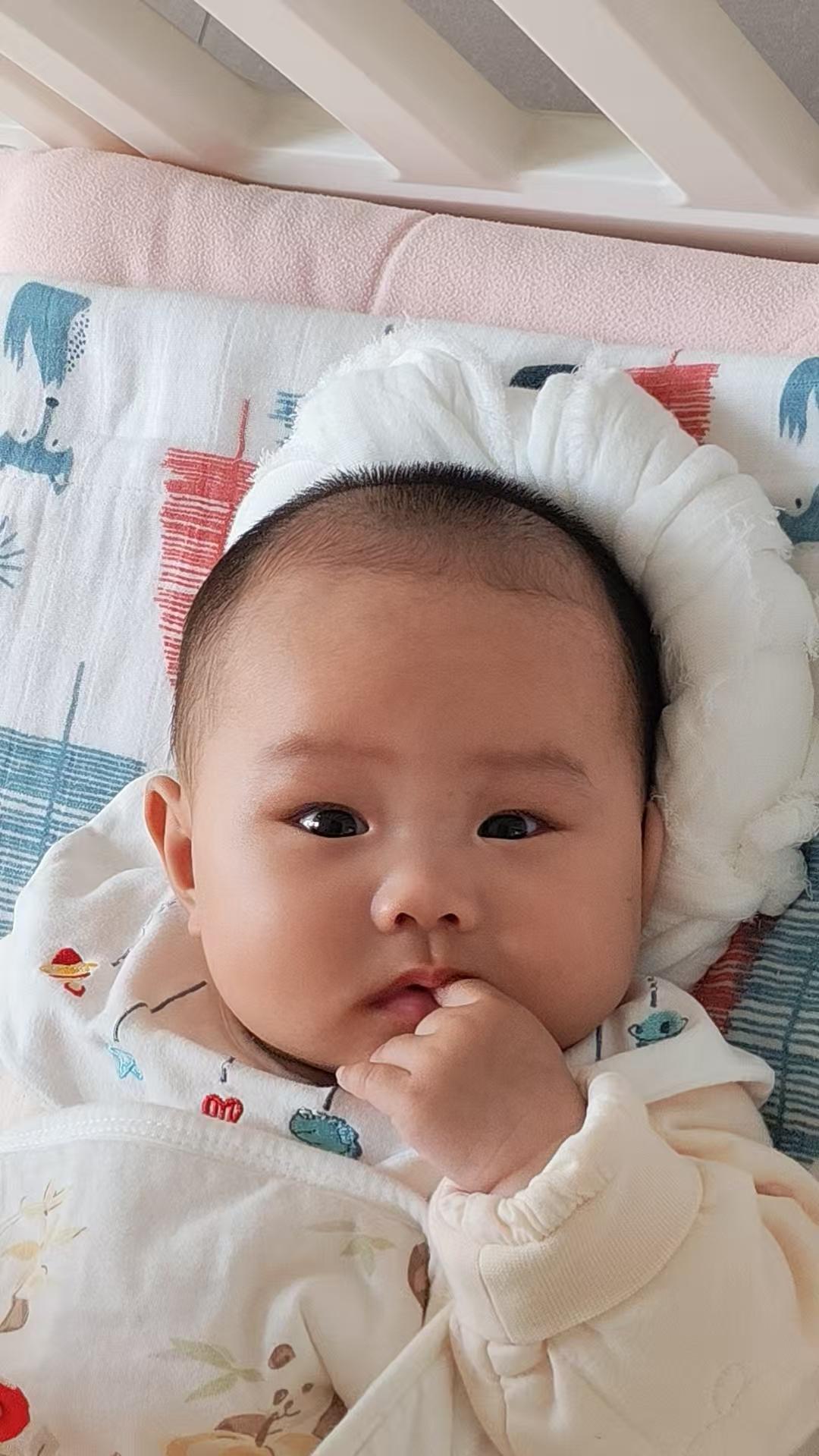 剃了头后，呦呦越来越帅气了！