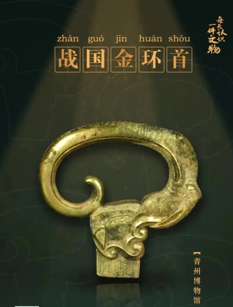 2004 年西辛战国古墓出土，高 5.6、宽 5.4 厘米。整体略呈椭圆形，为卷