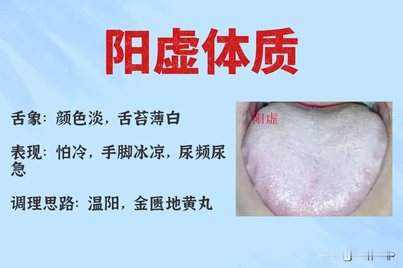 探索中医体质之谜，解锁健康新篇章

在繁忙的现代生活中，越来越多的人开始关注自己