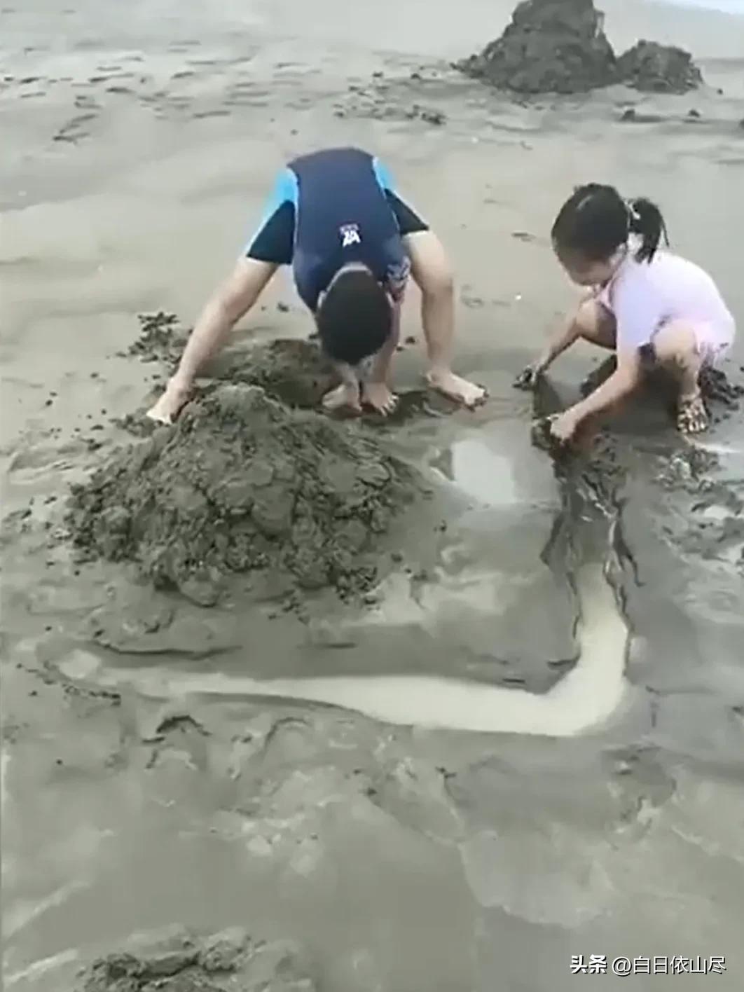 吵翻天！男子假期到新西兰旅游，在海边游玩时，发现一个有意思的现象，他吐槽：中 国