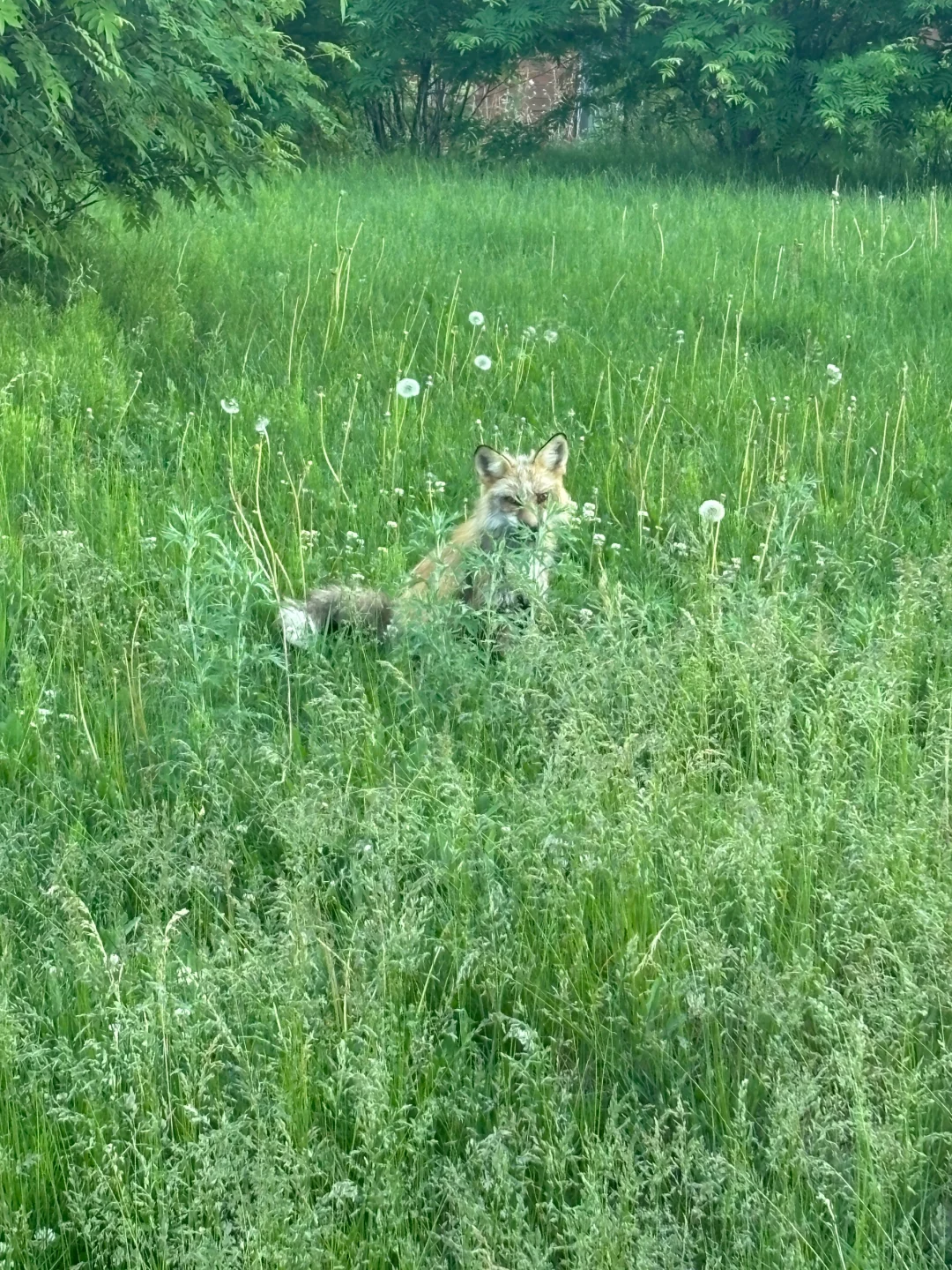 离异带娃男自述，劝女孩子真的要三思