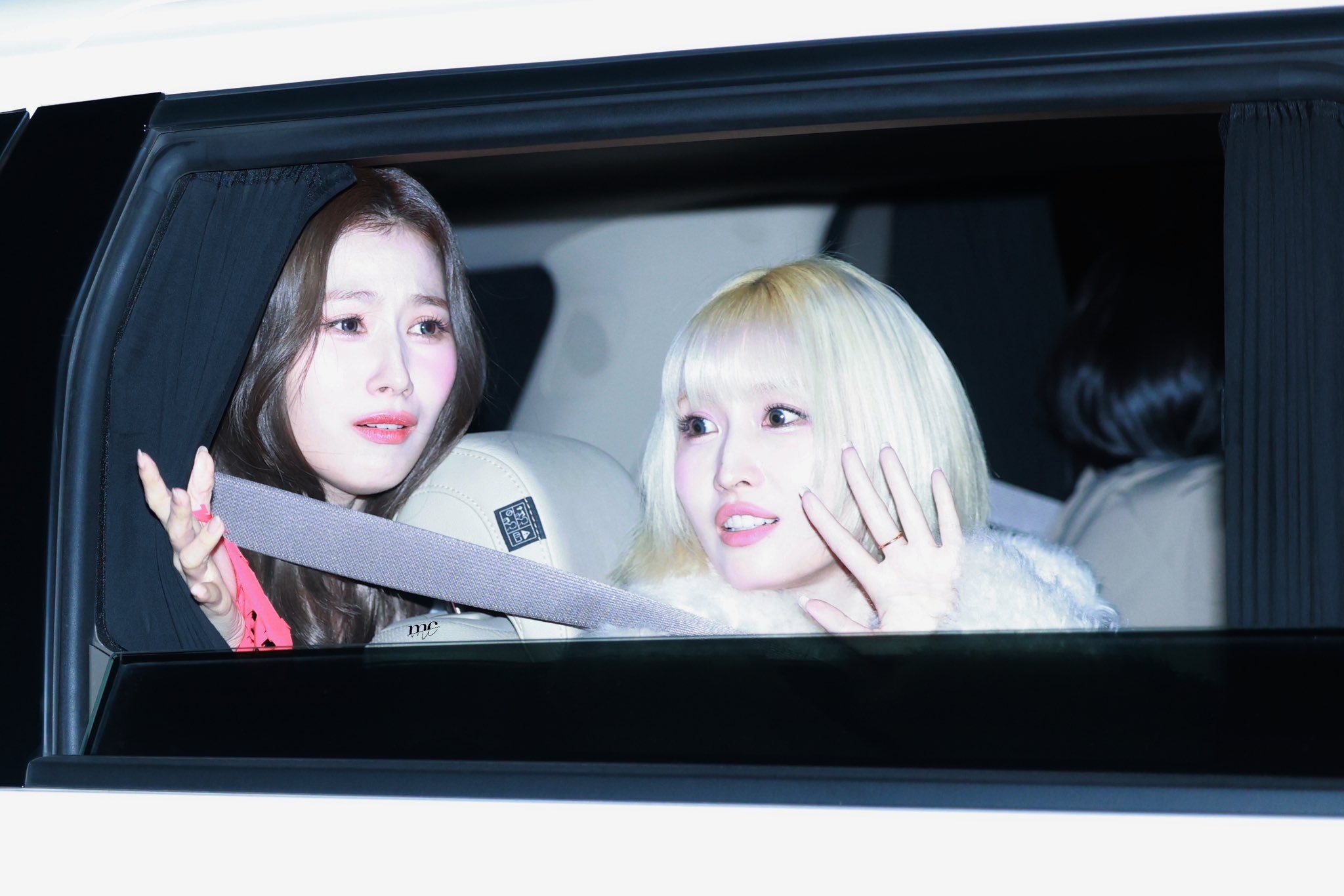 这是什么表情©pigpigg0425 