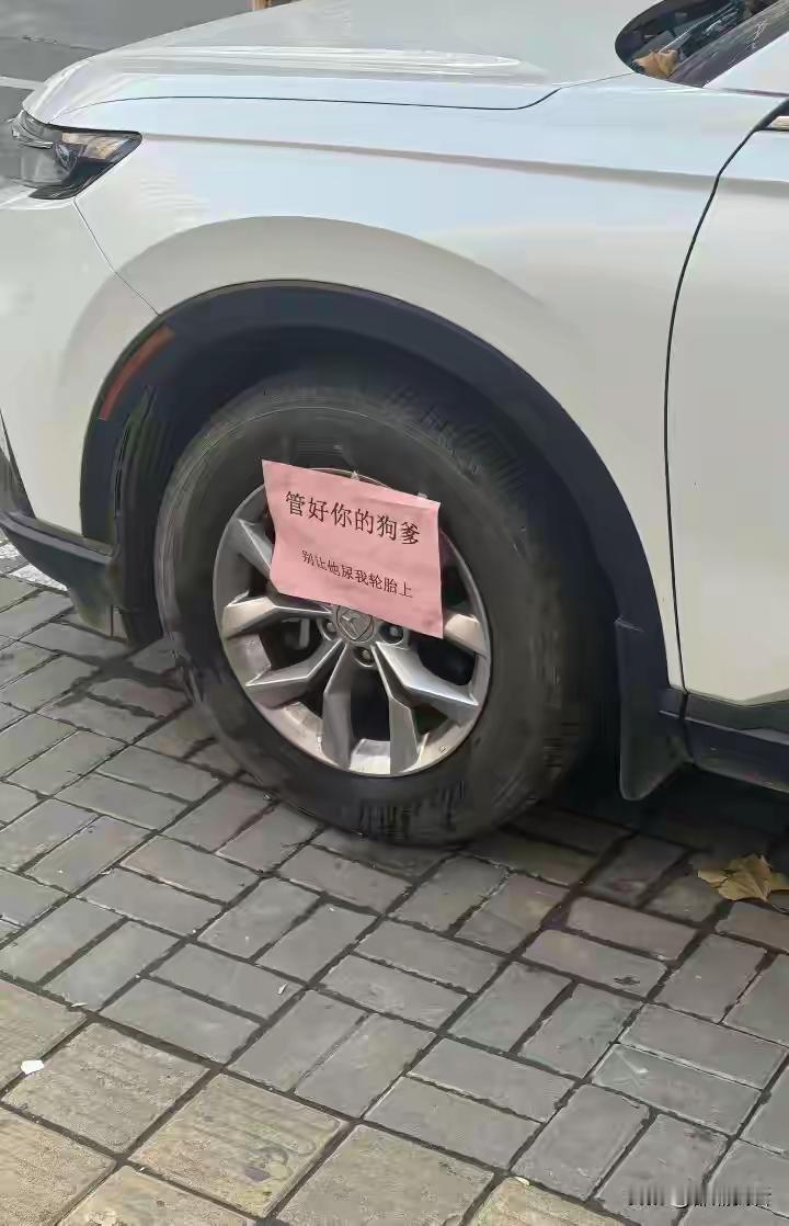 看来这位车主真的生气了
估计也不是一次半次了，也是被这事整得没办法了，不然不能用