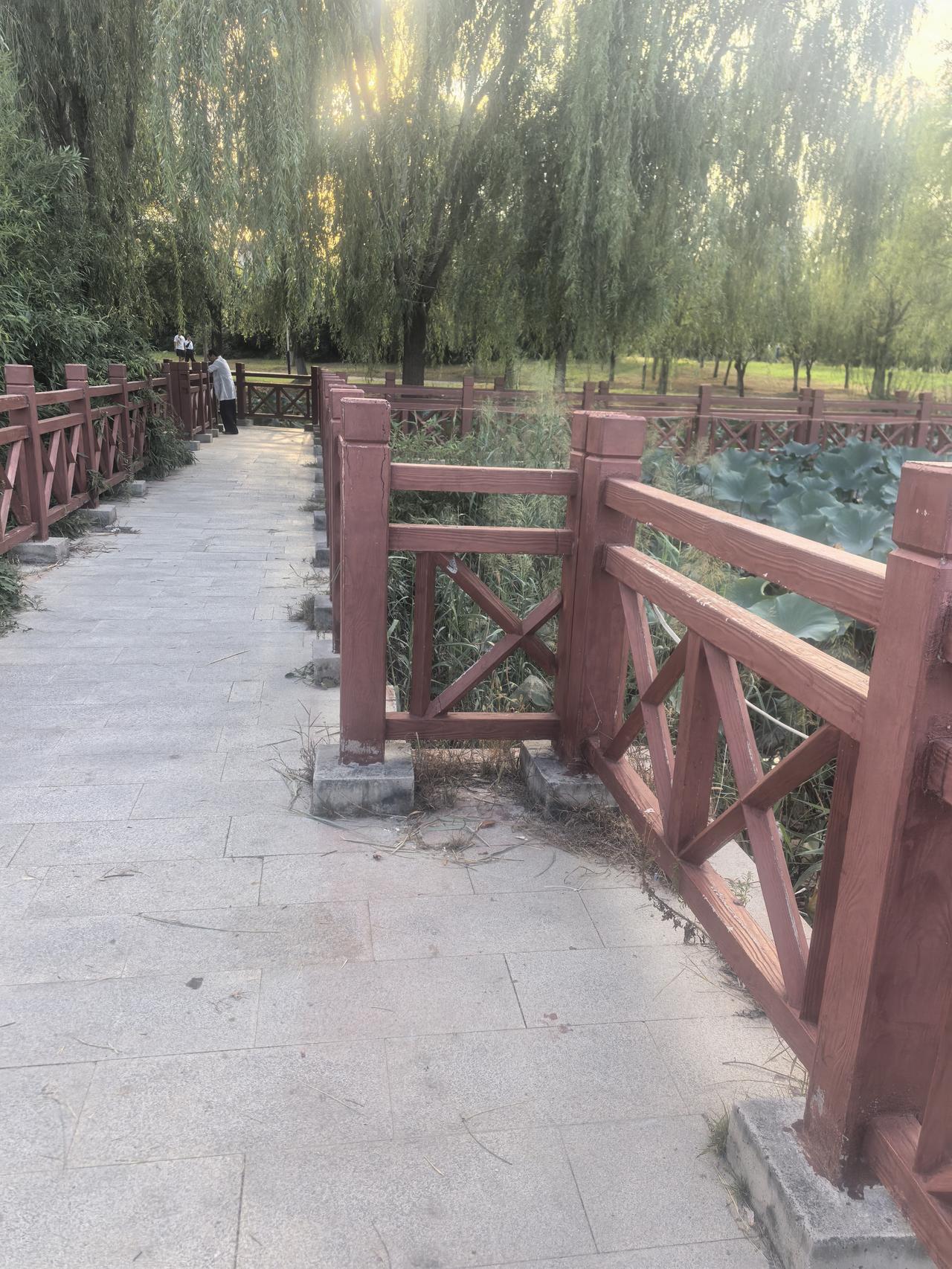 都说秋天人容易抑郁，但我实实在在地告诉大家，如果你没有以下三个特征，那绝对不是抑