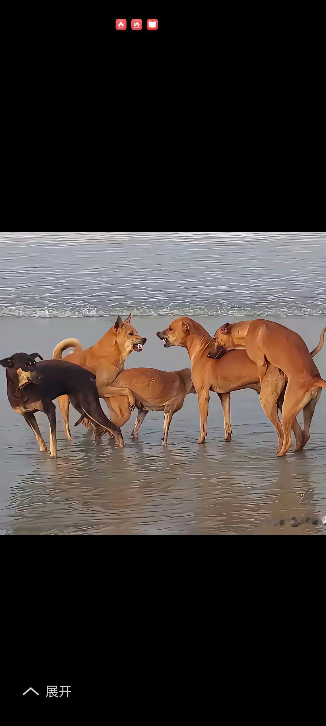 当你所在的环境混乱不堪时，千万不要乱搞，这是个法治社会。你会为你的行为举止负责的