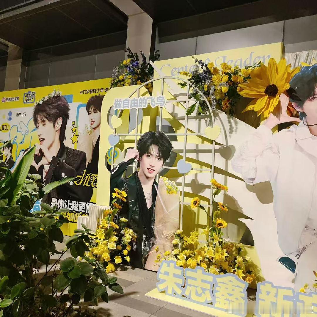 朱志鑫新年音乐会花墙应援 好美的花墙～小朱演出顺利哦！ 