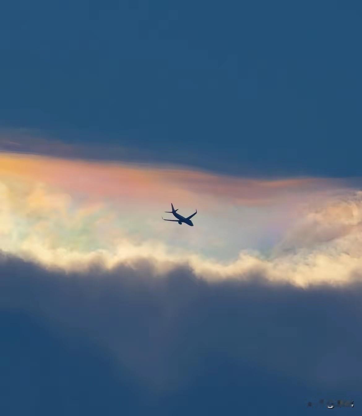 特朗普承认了……

《华尔街日报》，刊登对特朗普专访，特朗普承认，每天服用大量阿