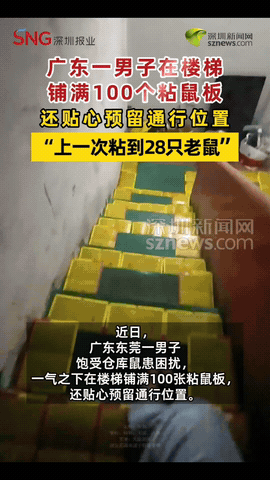 “人怎么可以这么聪明！”广东东莞，一男子因地下室老是被老鼠偷吃杂物垃圾，男子忍无