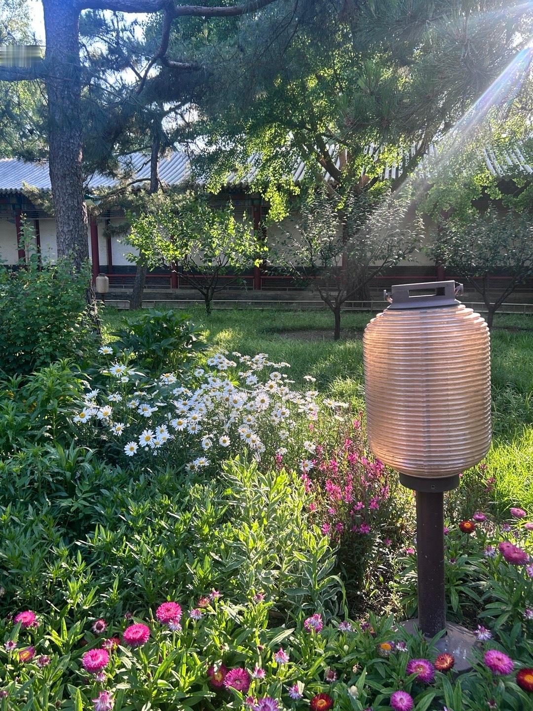 时常抬头看向天空，时常被感动的人，是永远会幸福的人 ​​​