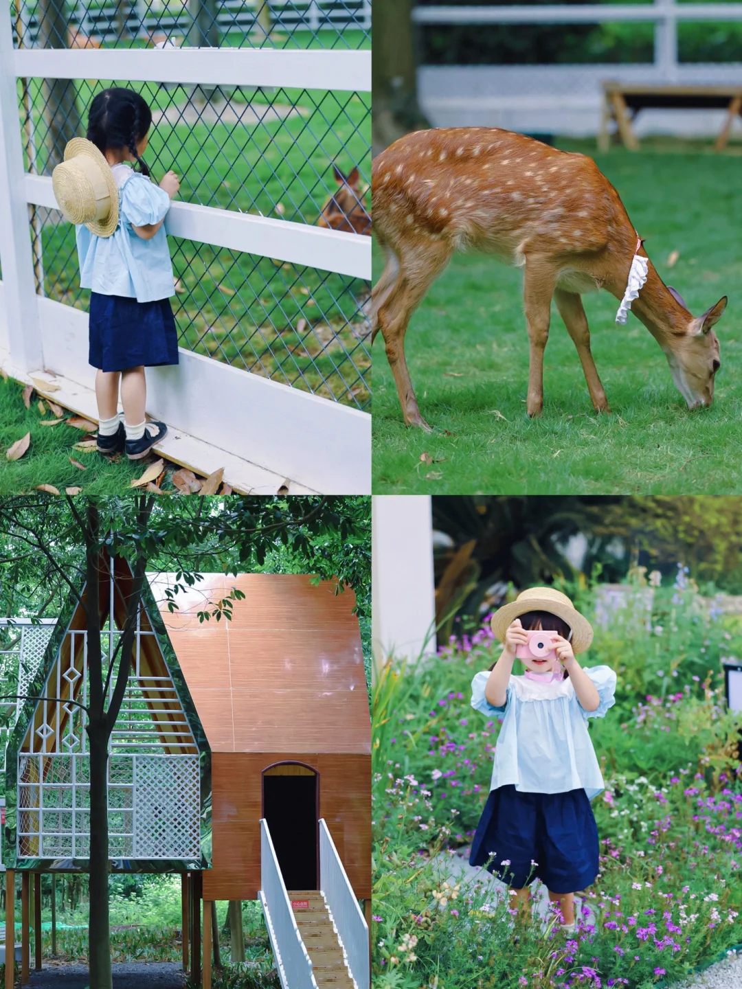 成都溜娃✅｜温江新晋森系亲子乐园，还可喂🦌~