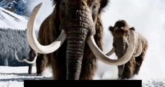 你刷到的视频是真的么？用物理规律拆穿Sora谎言