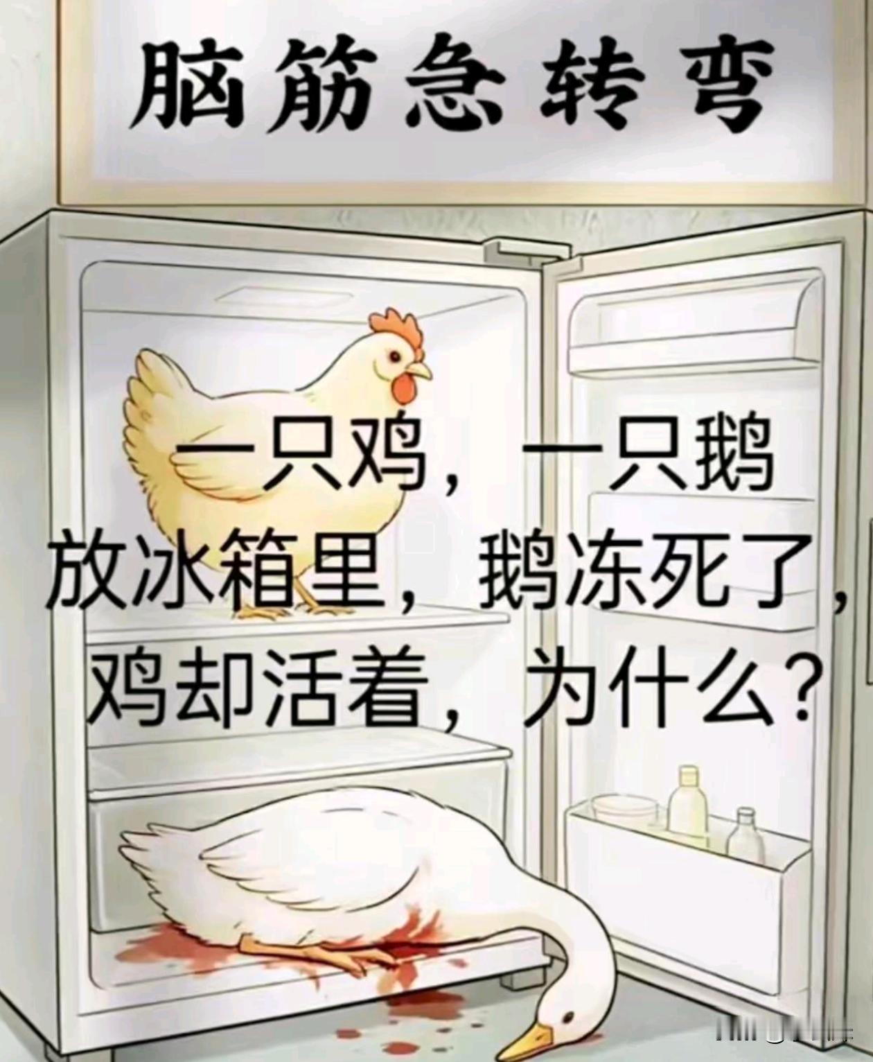 看看高智商的你们能猜出来吗？