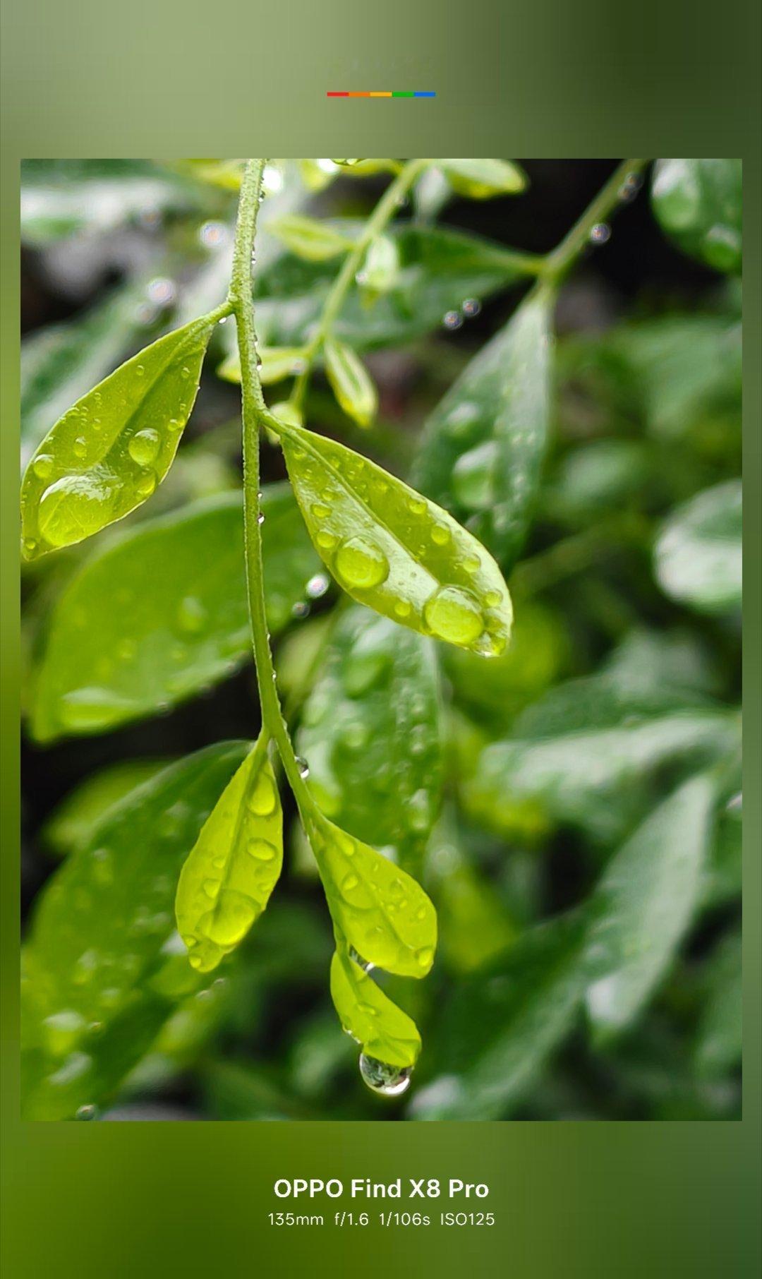 桦加沙这台风咱这也受影响了，好大的雨！没有带雨貝，骑着我那心爱的小摩托在雨中一路