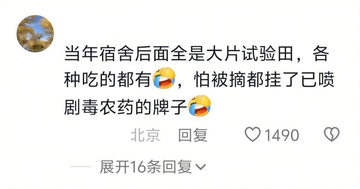 大学生学农挂科原因，笑到打鸣又心疼 ​​​