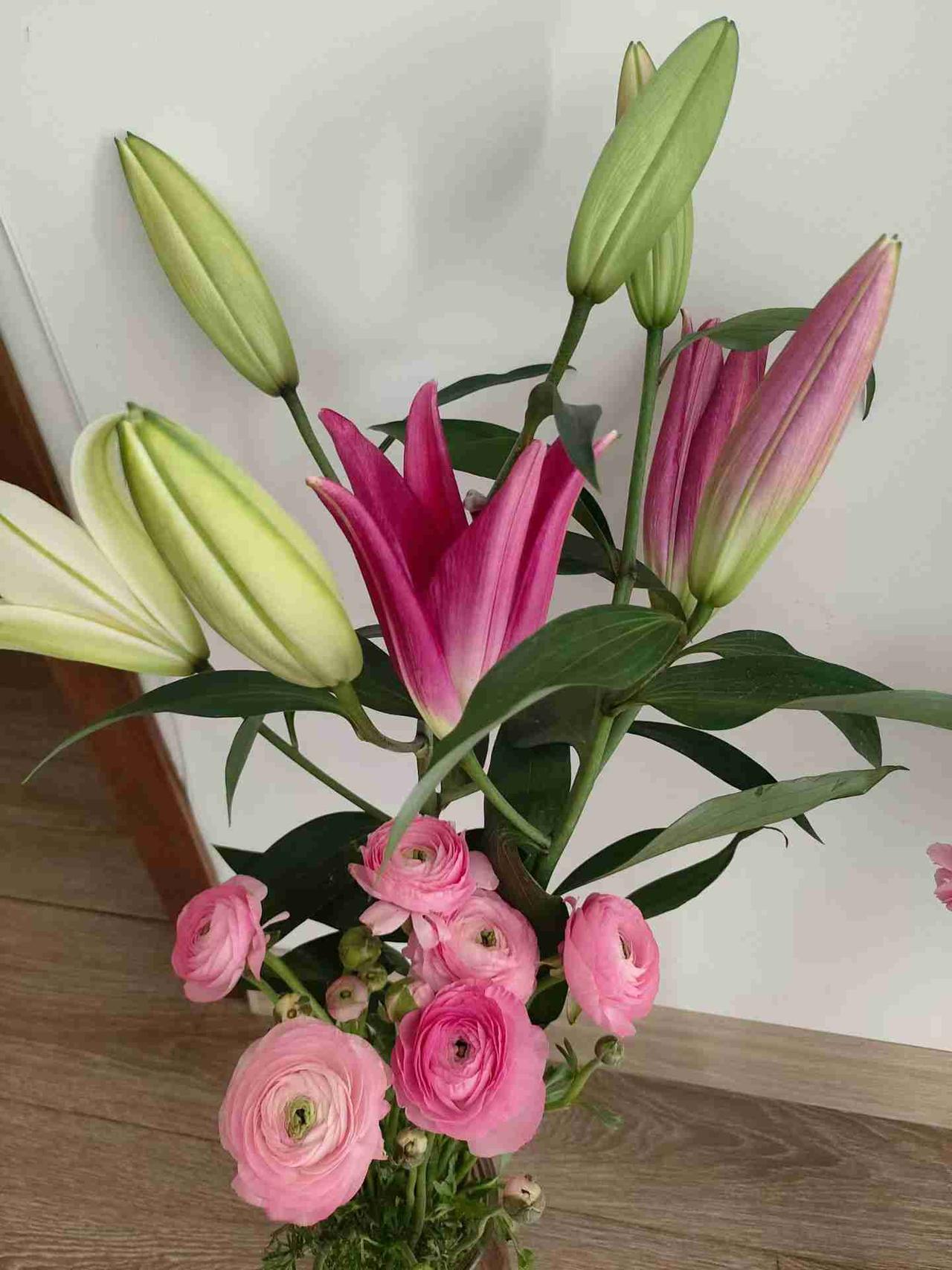 说实话，
让自己开心，是智慧，
有掌控生活的信心和力量；
让别人放心，是能力，