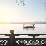 小洁洁谈谈影视剧