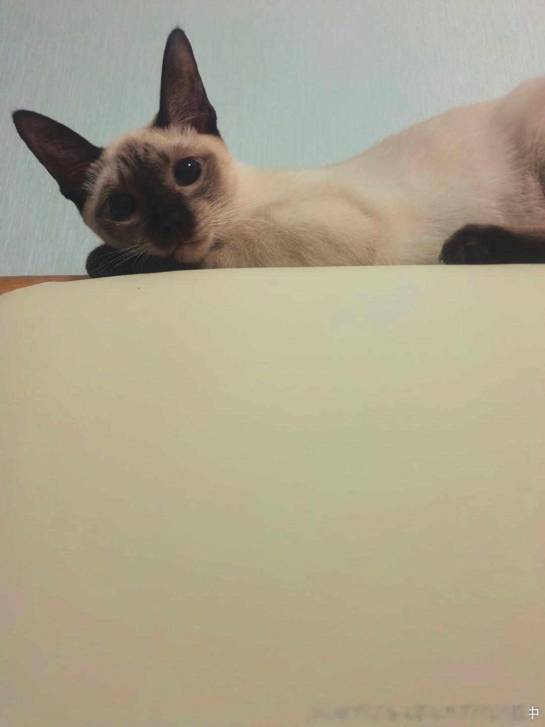 早安逼罗