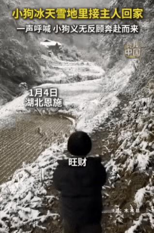 湖北一女子带女儿回老家，眼看快到家里了，女子大喊：旺财，我回来了！女儿也大喊：旺