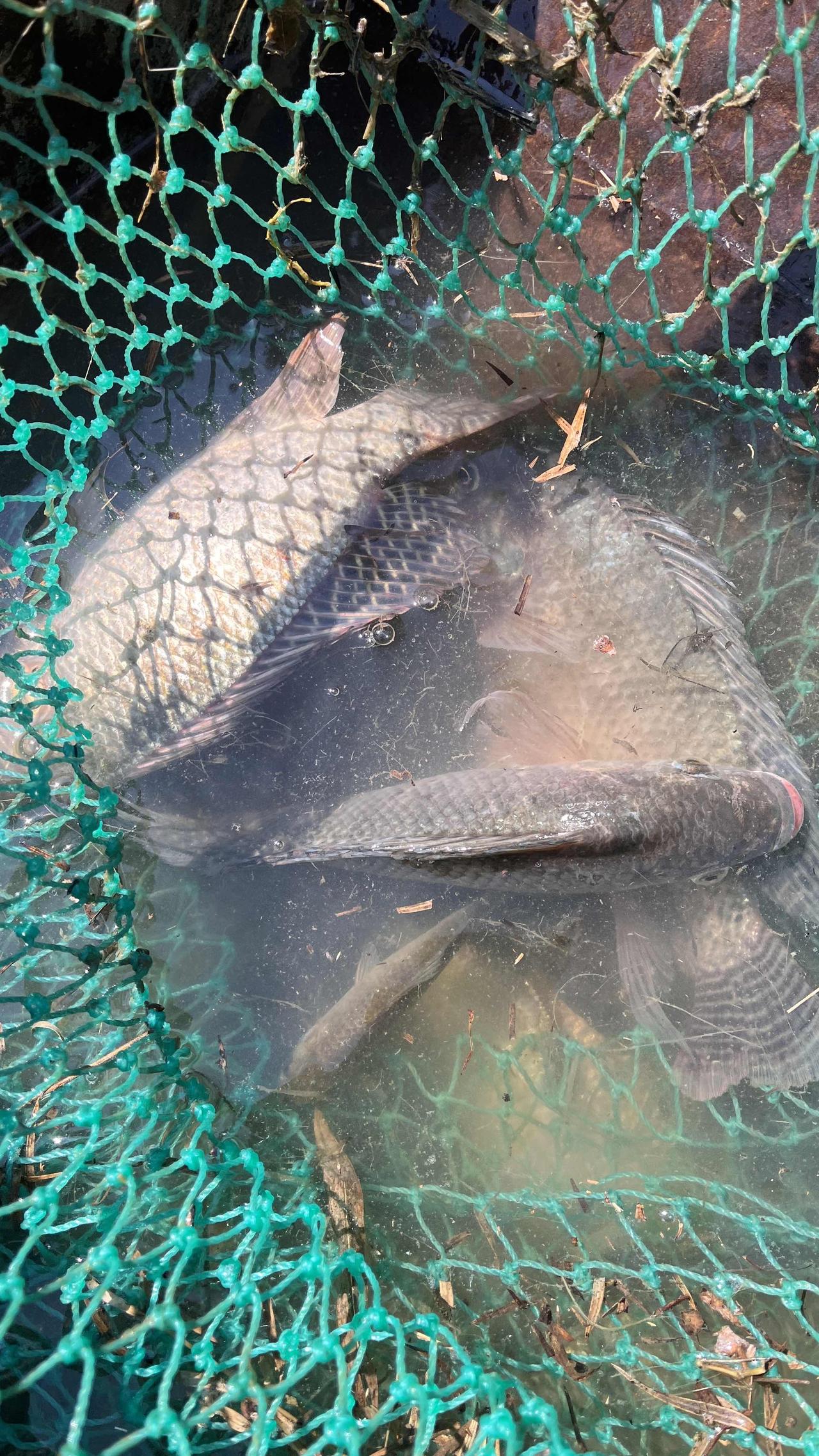 2026全国压岁钱排名，从南到北差距惊人，一起来看看你所在的省份排第几？

倒数