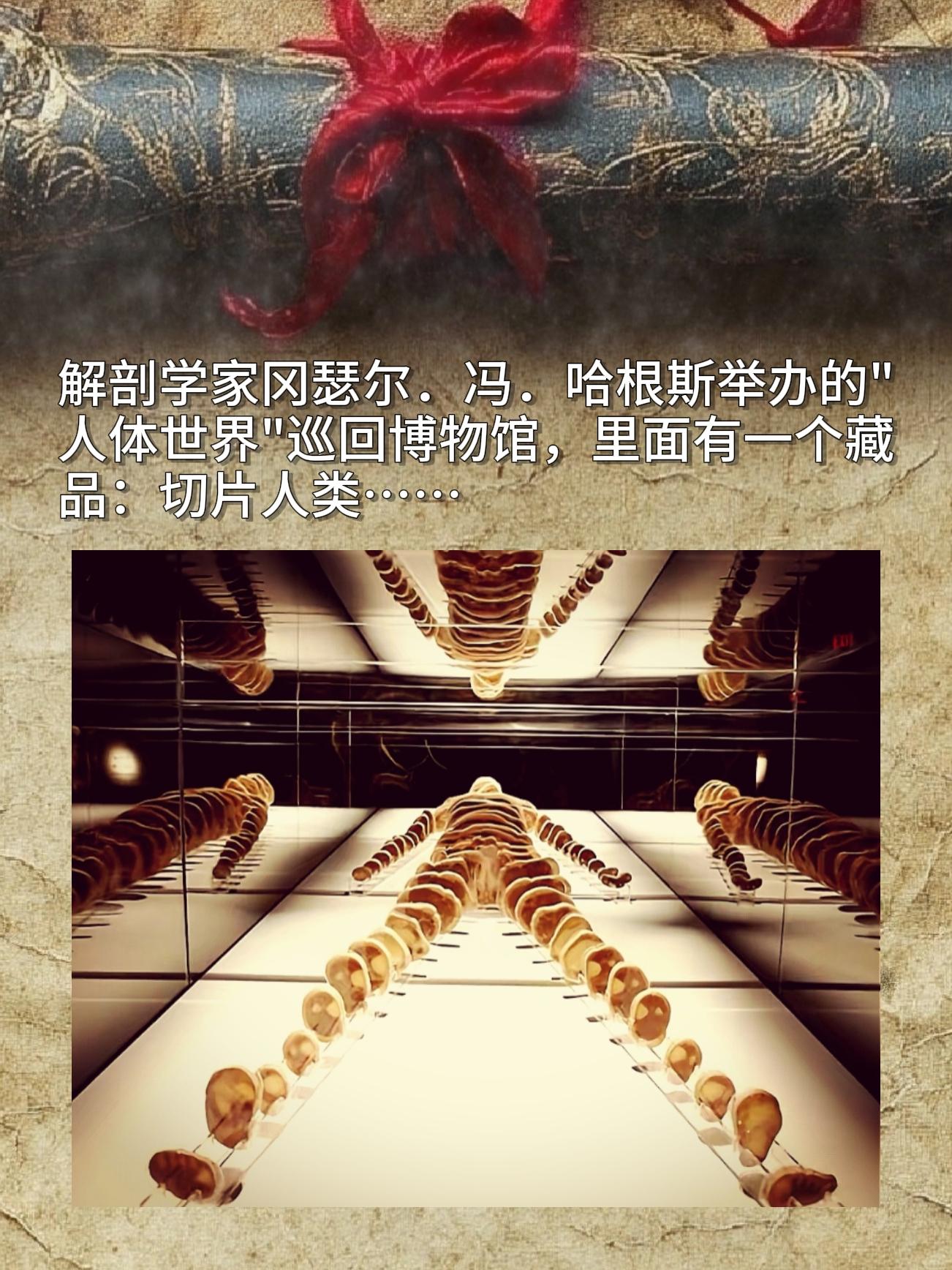 解剖学家冈瑟尔·冯·哈根斯举办的“人体世界”巡回博物馆里，有一件特别的...
