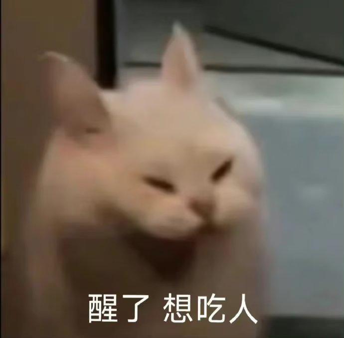 早上睡懒觉又被传教的摁门铃吵醒了！！！！！！！！！！啊啊啊啊，下次我不会再客气了