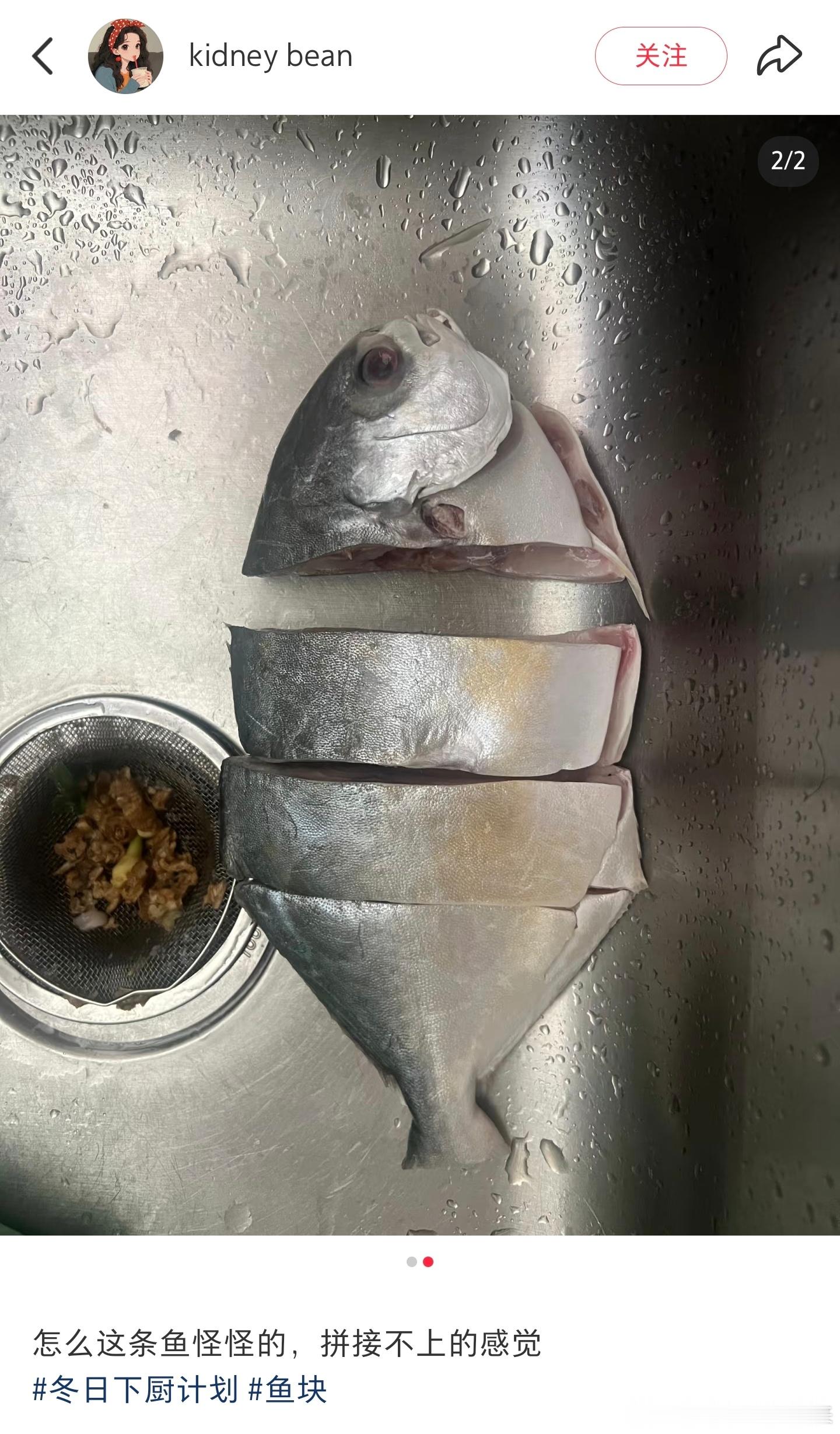 不行家里养条边牧，没个拿主意的怎么行，哈哈哈哈哈 