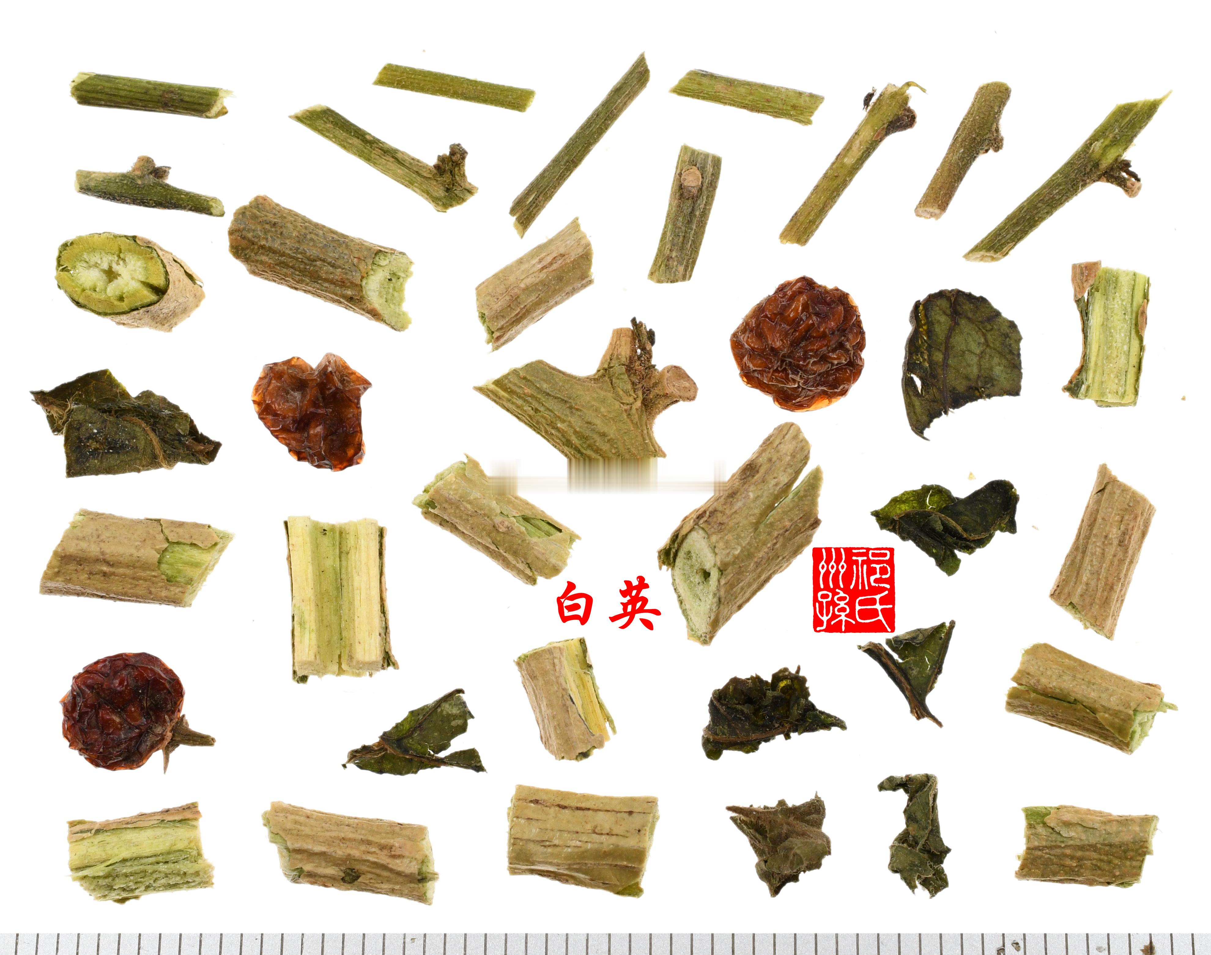 白英高品质白英，看上去颜色比较新鲜，整体显草绿色，尤其是茎，不是那么枯朽，叶子也