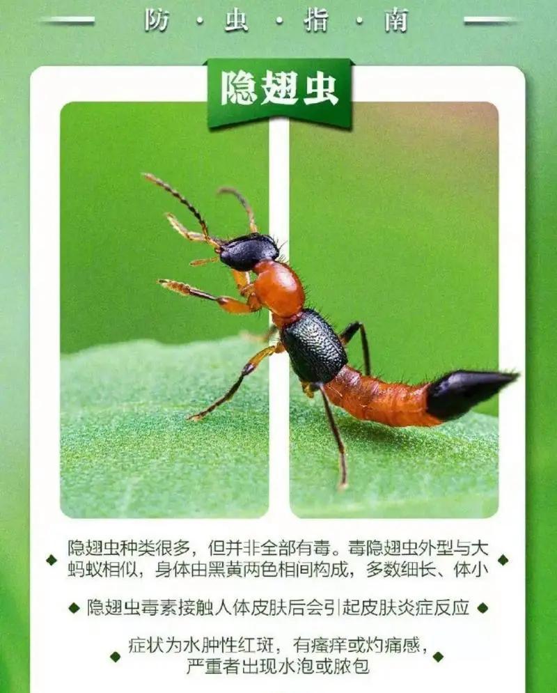 “提高警惕！”浙江杭州，男子深夜熟睡时，突然感觉肚子上像是被泼了热油一样发烫，睁