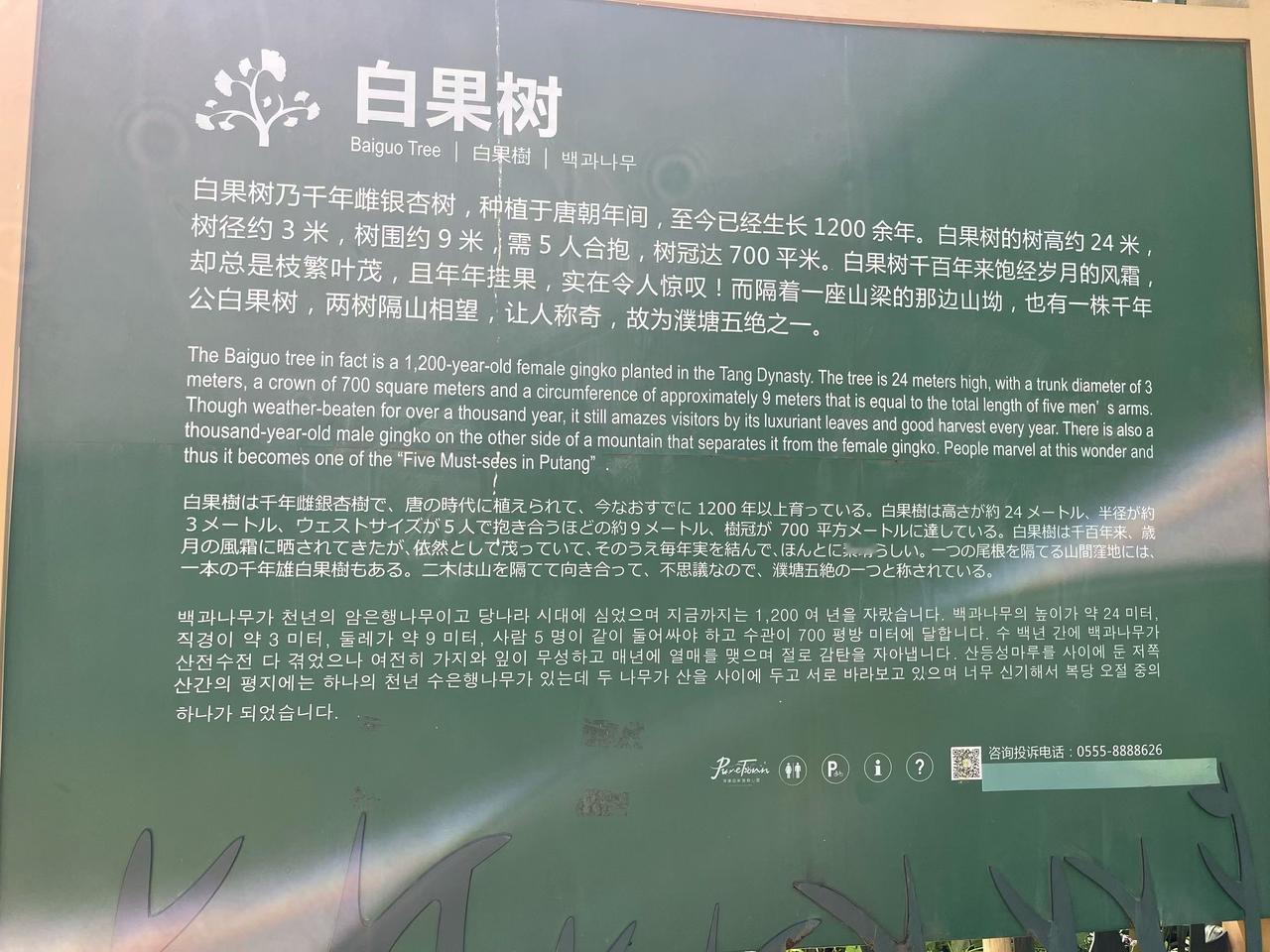 今自驾来到马鞍山市濮塘森林公园，此处山色青黛，空气清新，花草繁茂，沁人心脾。
（